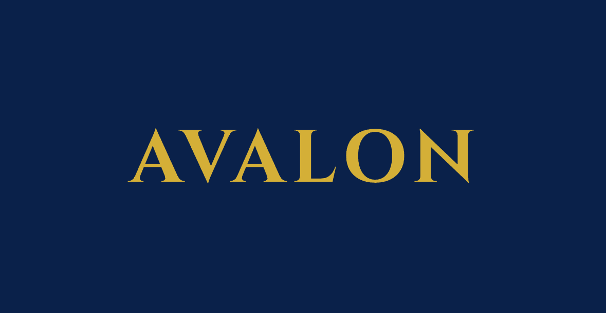 Avalon Game